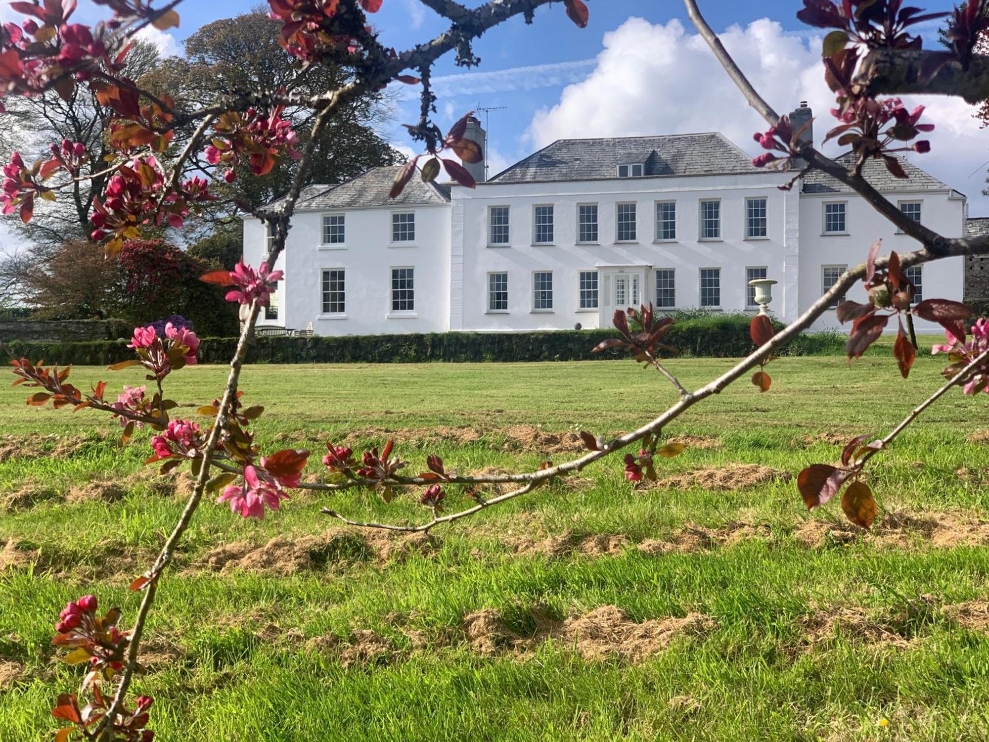 Trewardale Bed and Breakfast Bodmin Eksteriør billede